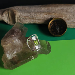 Resistance Ring